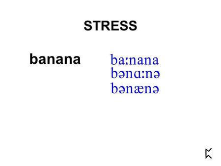 Banana STRESS. banana STRESS STRESS goes under many names: “stress” “emphasis” “accent”