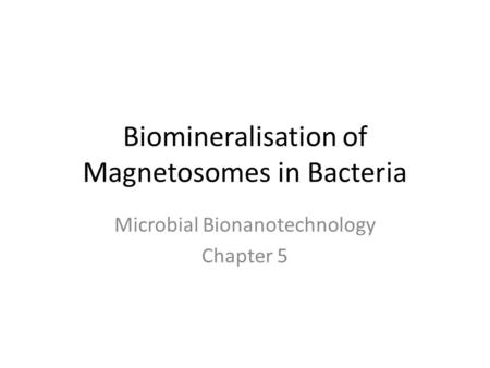 Biomineralisation of Magnetosomes in Bacteria Microbial Bionanotechnology Chapter 5.