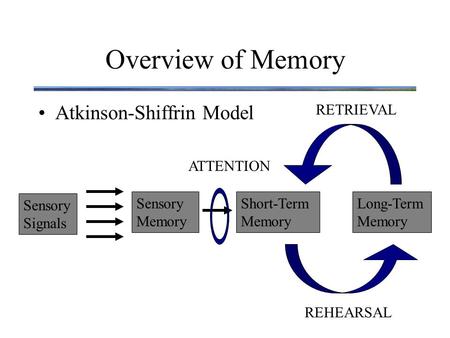 Overview of Memory Atkinson-Shiffrin Model Sensory Signals Sensory Memory Short-Term Memory Long-Term Memory ATTENTION REHEARSAL RETRIEVAL.