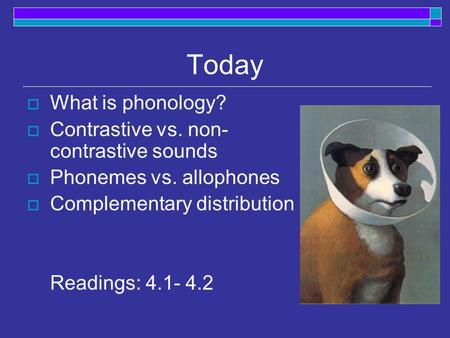 Today What is phonology? Contrastive vs. non- contrastive sounds