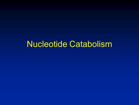 Nucleotide Catabolism. Overview of Nucleotide Catabolism Ingested nucleotides are not incorporated into nucleic acids Normal nucleic acid turnover.