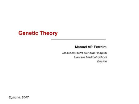Genetic Theory Manuel AR Ferreira Egmond, 2007 Massachusetts General Hospital Harvard Medical School Boston.
