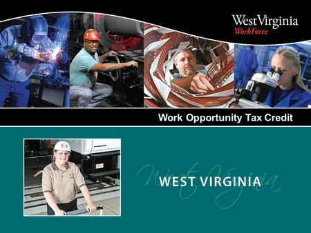 Work Opportunity Tax Credit. A Federal Income Tax Credit that provides incentives to private sector employers to encourage hiring individuals from nine.