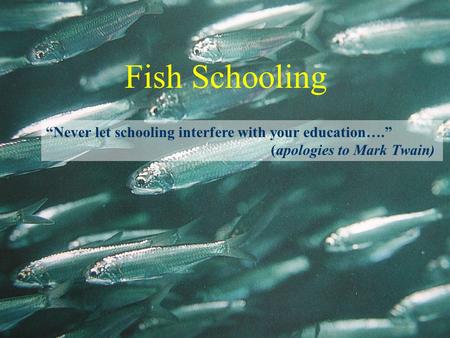 Fish Schooling “Never let schooling interfere with your education….” (apologies to Mark Twain)