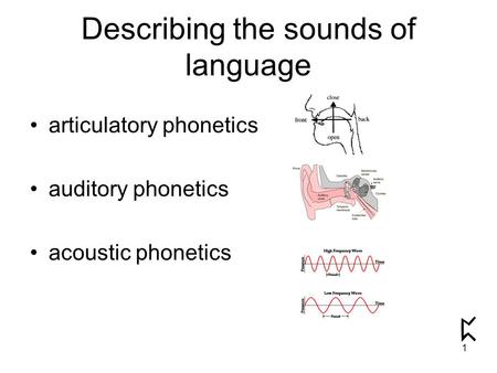 Describing the sounds of language