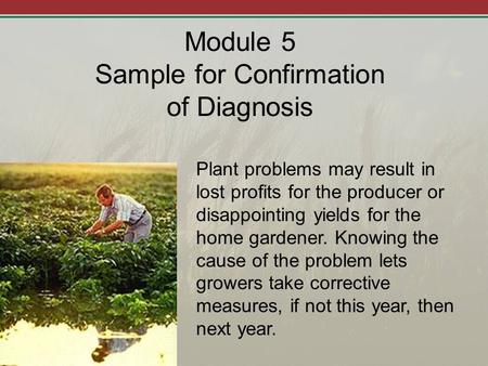Module 5 Sample for Confirmation of Diagnosis Plant problems may result in lost profits for the producer or disappointing yields for the home gardener.