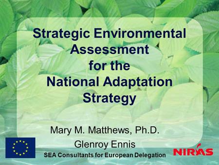 Strategic Environmental Assessment for the National Adaptation Strategy Mary M. Matthews, Ph.D. Glenroy Ennis SEA Consultants for European Delegation.