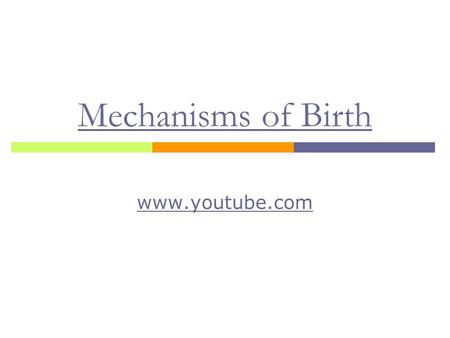Mechanisms of Birth www.youtube.com.