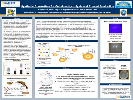 TEMPLATE DESIGN © 2008 www.PosterPresentations.com Synthetic Consortium for Cellulose Hydrolysis and Ethanol Production David Pham, Shen-Long Tsai, Anjali.