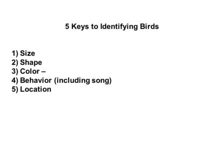 5 Keys to Identifying Birds 1)Size 2)Shape 3)Color – 4)Behavior (including song) 5)Location.