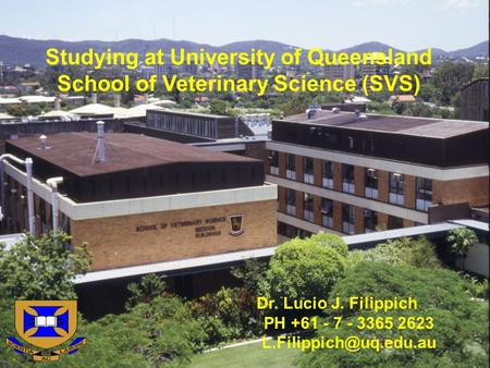 Studying at University of Queensland School of Veterinary Science (SVS) Dr. Lucio J. Filippich PH +61 - 7 - 3365 2623