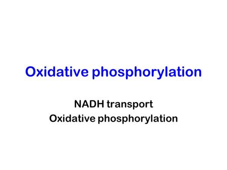Oxidative phosphorylation NADH transport Oxidative phosphorylation.