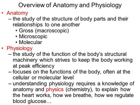 Overview of Anatomy and Physiology Anatomy –the study of the structure of body parts and their relationships to one another Gross (macroscopic) Microscopic.