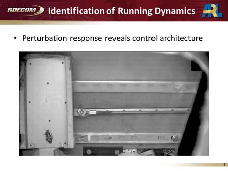 1 Identification of Running Dynamics Perturbation response reveals control architecture.