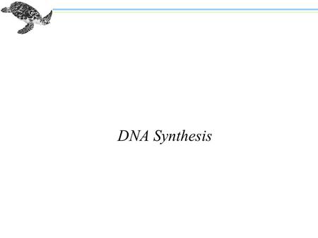 DNA Synthesis. Last time: n DNA is the chemical substance that serves as the genetic material (exception: RNA in some viruses) n Today: In order to pass.