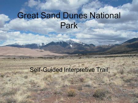 Great Sand Dunes National Park Self-Guided Interpretive Trail.