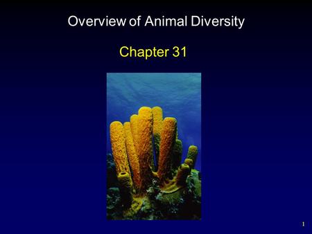1 Overview of Animal Diversity Chapter 31. 2 General Features of Animals Heterotrophs Multicellular Able to move from place to place Diverse in form and.