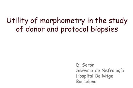 Utility of morphometry in the study of donor and protocol biopsies D. Serón Servicio de Nefrología Hospital Bellvitge Barcelona.