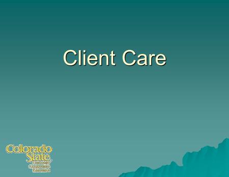 Client Care.  First impressions and follow through are critical for success.  Need: Principles and procedures to help assure success.