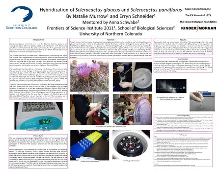 Hybridization of Sclerocactus glaucus and Sclerocactus parviflorus By Natalie Murrow 1 and Erryn Schneider 1 Mentored by Anna Schwabe 2 Frontiers of Science.