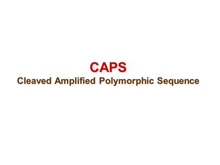 CAPS Cleaved Amplified Polymorphic Sequence. CAPS - CAPS (cleaved amplified polymorphic sequence) is also known as PCR-RFLPs (polymerase chain reaction-restriction.