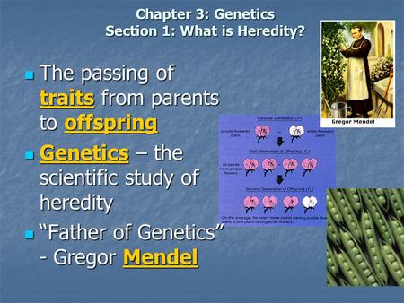 Chapter 3: Genetics Section 1: What is Heredity?