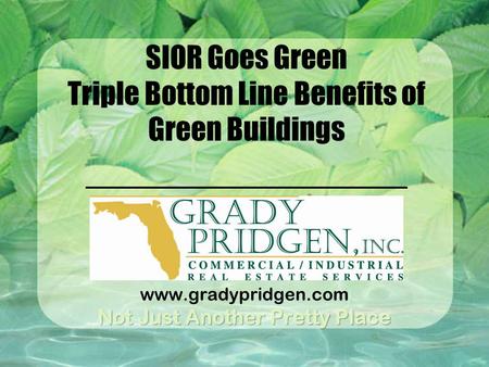 Www.gradypridgen.com SIOR Goes Green Triple Bottom Line Benefits of Green Buildings.