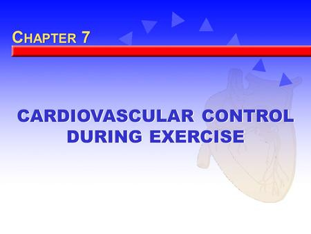 CARDIOVASCULAR CONTROL DURING EXERCISE C HAPTER 7.