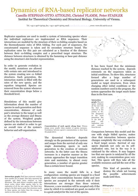 Dynamics of RNA-based replicator networks Camille STEPHAN-OTTO ATTOLINI, Christof FLAMM, Peter STADLER Institut for Theoretical Chemistry and Structural.