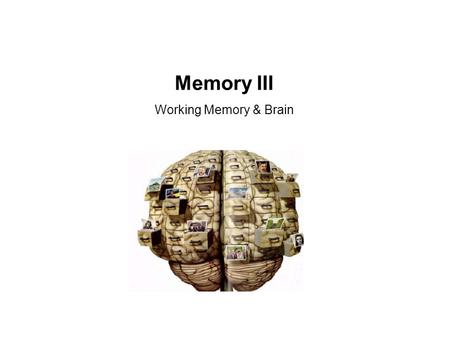 Memory III Working Memory & Brain. Atkinson & Shiffrin (1968) Model of Memory.