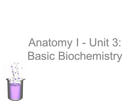 Anatomy I - Unit 3: Basic Biochemistry