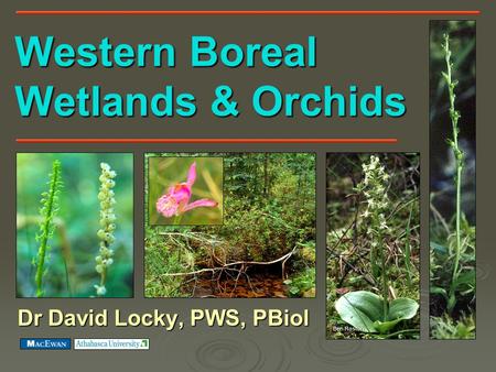 Western Boreal Wetlands & Orchids Dr David Locky, PWS, PBiol Ben Roston.