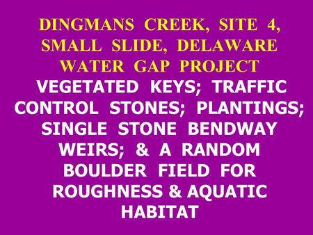 DINGMANS CREEK, SITE 4, SMALL SLIDE, DELAWARE WATER GAP PROJECT VEGETATED KEYS; TRAFFIC CONTROL STONES; PLANTINGS; SINGLE STONE BENDWAY WEIRS; & A RANDOM.