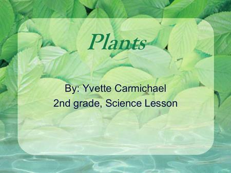 Plants By: Yvette Carmichael 2nd grade, Science Lesson.