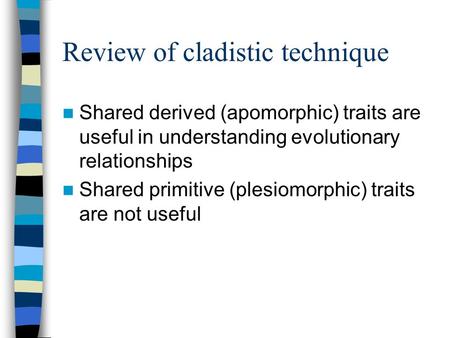 Review of cladistic technique Shared derived (apomorphic) traits are useful in understanding evolutionary relationships Shared primitive (plesiomorphic)