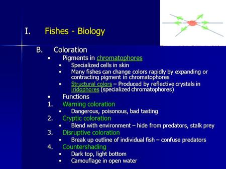 I.Fishes - Biology B.Coloration Pigments in chromatophoresPigments in chromatophores Specialized cells in skinSpecialized cells in skin Many fishes can.