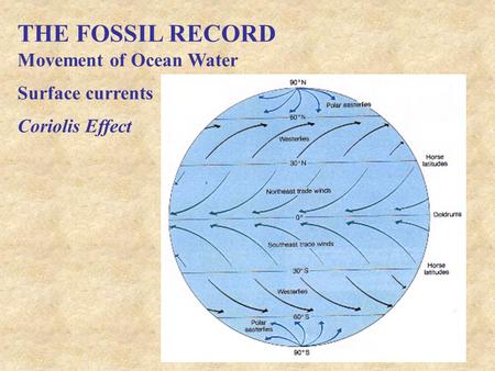 THE FOSSIL RECORD Movement of Ocean Water Surface currents