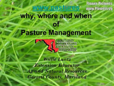 Www.pastures www.pastures why, where and when of Pasture Management Willie Lantz Extension Educator Ag and Natural Resources Garrett County, Maryland.