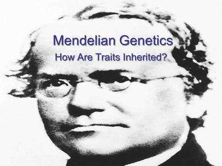 How Are Traits Inherited?