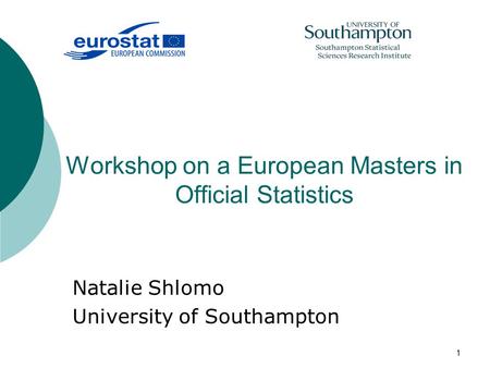 1 Workshop on a European Masters in Official Statistics Natalie Shlomo University of Southampton.