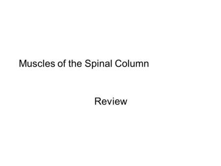 Muscles of the Spinal Column