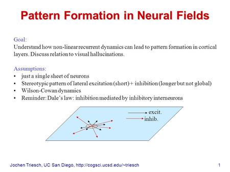 Jochen Triesch, UC San Diego,  1 Pattern Formation in Neural Fields Goal: Understand how non-linear recurrent dynamics can.