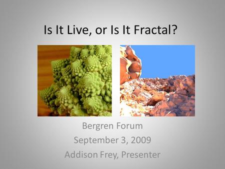 Is It Live, or Is It Fractal? Bergren Forum September 3, 2009 Addison Frey, Presenter.