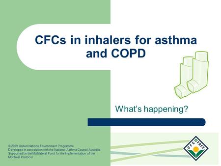 CFCs in inhalers for asthma and COPD What’s happening? © 2009 United Nations Environment Programme Developed in association with the National Asthma Council.