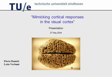 “Mimicking cortical responses in the visual cortex” Presentation 27 May 2004 Florie Daniels Lotte Verbunt.