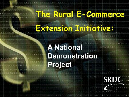 The Rural E-Commerce Extension Initiative: A National Demonstration Project.