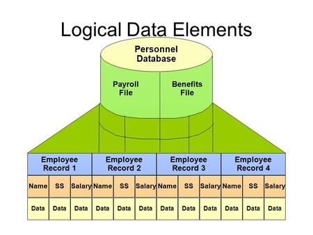 Logical Data Elements Employee Record 2 Employee Record 1 Employee Record 3 Employee Record 4 NameSSSalaryNameSSSalaryNameSSSalaryNameSSSalary Data Personnel.