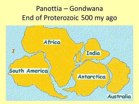 Panottia – Gondwana End of Proterozoic 500 my ago.
