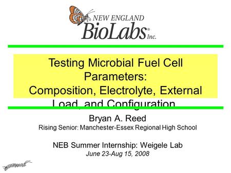 Bryan A. Reed Rising Senior : Manchester-Essex Regional High School NEB Summer Internship: Weigele Lab June 23-Aug 15, 2008 Testing Microbial Fuel Cell.