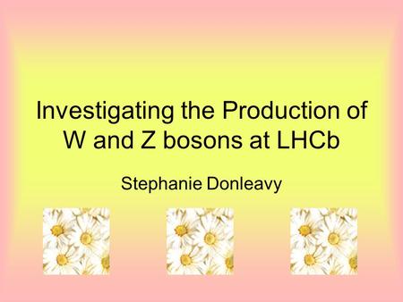 Investigating the Production of W and Z bosons at LHCb Stephanie Donleavy.